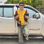 ก.นิธิกร 'แพร่ ไก่ชน Market
