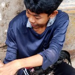 Balloo ไก่ชน Market