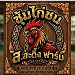 ส.สะดิ้ง ฟาร์ม ไก่ชน Market