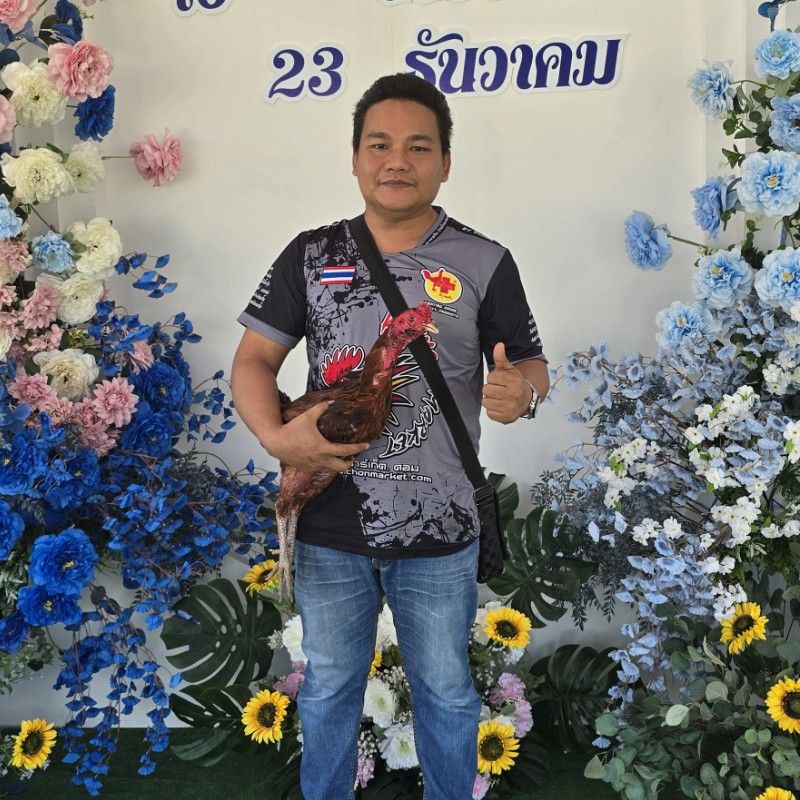 ธนภณ ไก่ชน market